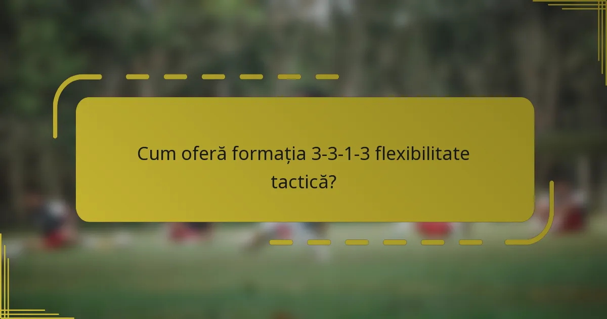 Cum oferă formația 3-3-1-3 flexibilitate tactică?